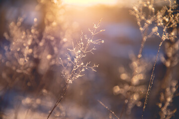 为什么越来越多的人要低糖饮食?_1